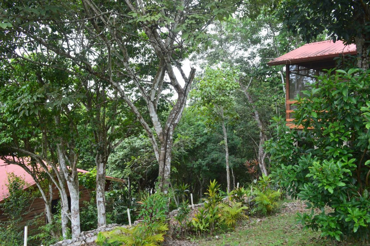 Santa Cruz Cabins Santa Elena Eksteriør bilde