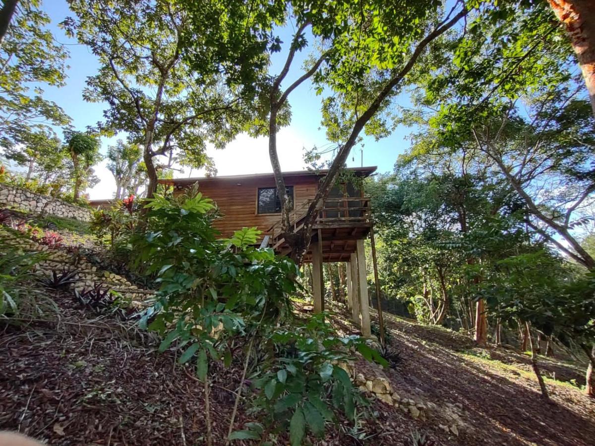 Santa Cruz Cabins Santa Elena Eksteriør bilde