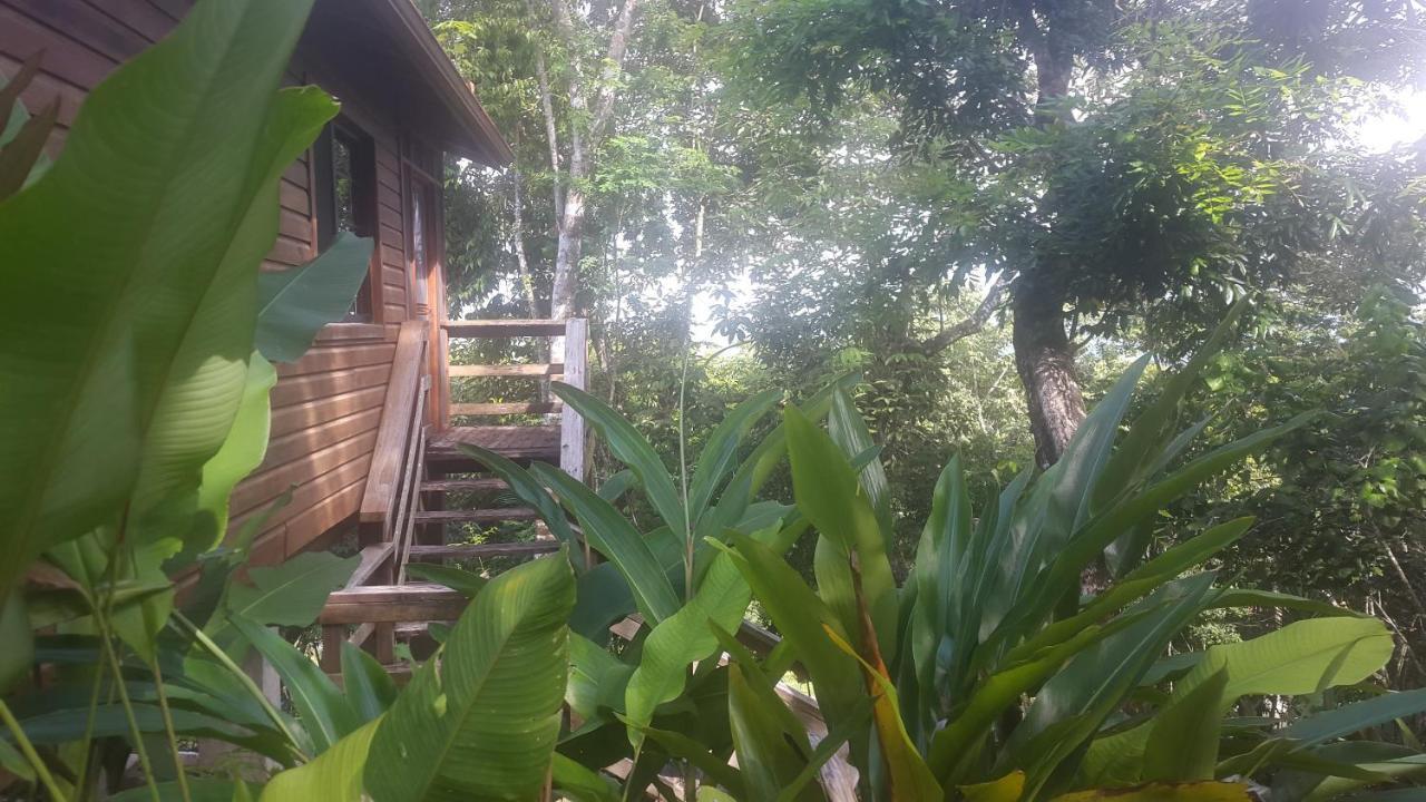 Santa Cruz Cabins Santa Elena Eksteriør bilde